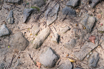 path of gray stones on the ground. texture, background.