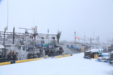 Fototapeta premium 冬の漁港 Sakata, Yamagata, Japan