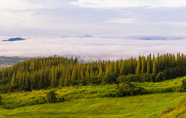 Aerial view of Panorama landscape with mountain view and morning fog