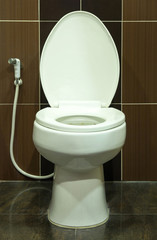 toilet bowl in the bathroom