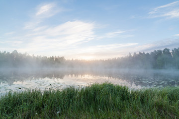 Foggy morning at forest pond landscape Finland