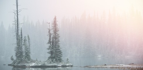 Fototapeta na wymiar Scenic view of snow covered trees