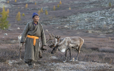 tsaatan man, dressed in a traditional deel, with his reindeers