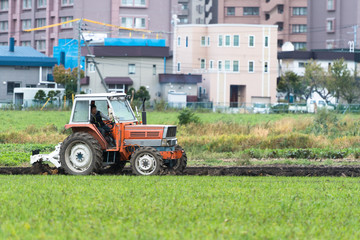 Fototapeta premium 市街地で農業を営む兼業農家