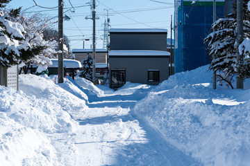 冬の市街地 / 北海道 札幌市の冬景色