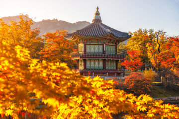 Gyeongbokgung Palace With maple leaves in the fall colors, Seoul, South Korea