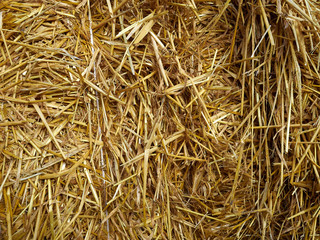 Hay bale stack grain crop in a field