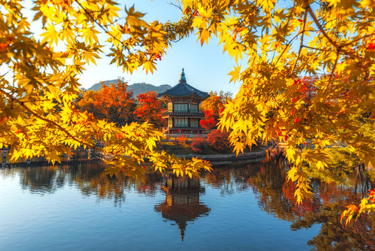Gyeongbokgung Palace With maple leaves in the fall colors, Seoul, South Korea