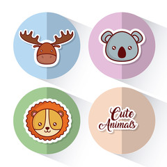 cute animals icon set over colorful circles and white background colorful design vector illustration