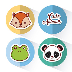 cute animals icon set over colorful circles and white background colorful design vector illustration
