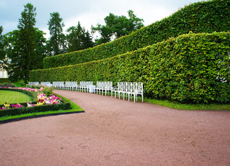 Landscape garden park with flowerbed, white branches and green wall at Pushkin, Tsarskoe Selo, ...