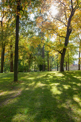 Fototapeta premium Sunshine through trees in empty city park