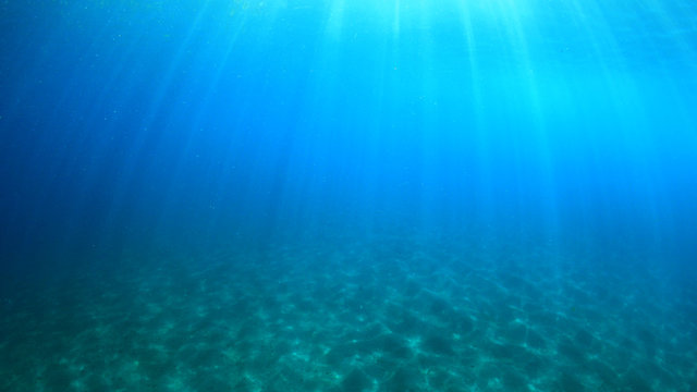 Underwater blue water background © Richard Carey