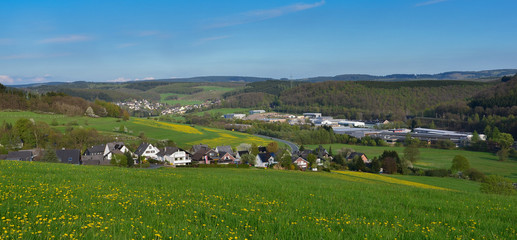 Obraz premium Frühlingswiese im Bergland