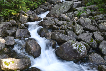 creek in mountain