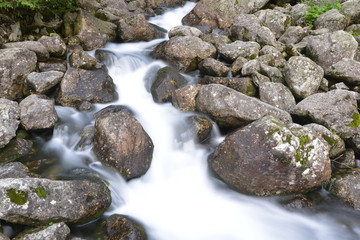 creek in mountain