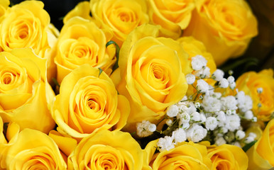 Obraz na płótnie Canvas Flower background of yellow rose 