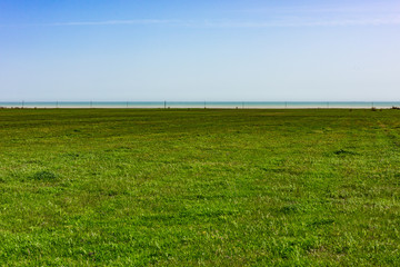 Green field
