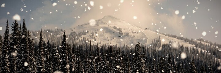 Snow capped mountain with pine trees © vectorfusionart