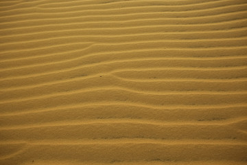 Texture sand in the desert