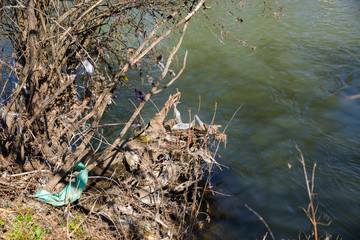 the trash by the river