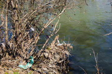 the trash by the river