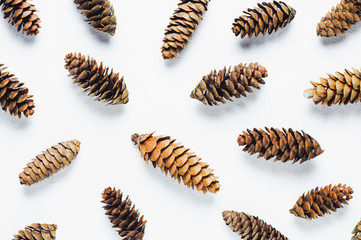 Pine cones on white background