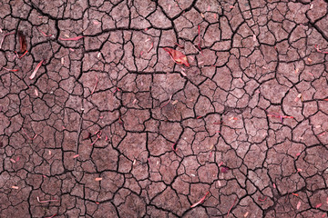 Abstract crack texture on dry soil, vintage tone style
