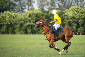 The horse polo player ride a horse © Hola53