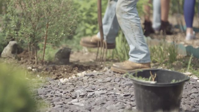  Man working in community allotment digging soil & planting