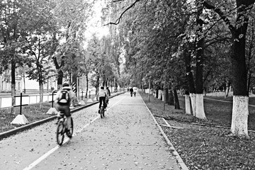 alley park cyclists summer sport