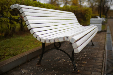 Benches stand in the park