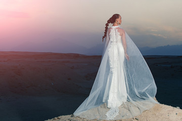 Fototapeta na wymiar Woman in wedding dress and veil, back view