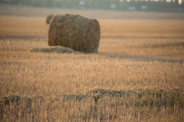 round bales of hay on a beveled field
