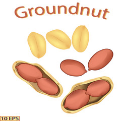 Peanuts in the shell. Shelled nuts. Groundnuts isolated on white background. Icon of peanuts. Vector illustration.