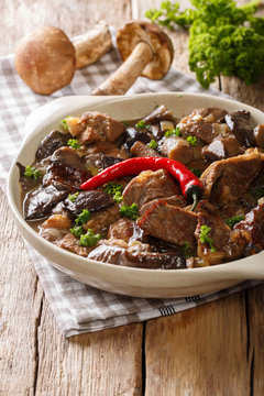 beef stew with wild mushrooms, onion and chili pepper close up in a bowl. vertical