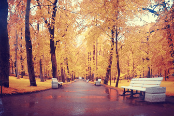 autumn landscape in the city park