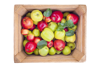 fresh apples in wooden box