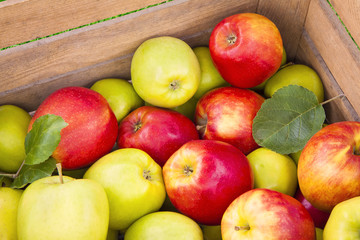 Fresh apples in wooden box