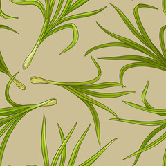 lemongrass vector pattern