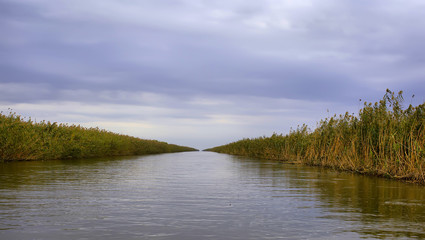 Beautiful autumn landscape in the Volga delta. Astrakhan Region. Russia.