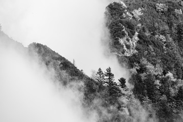 Black and white photography of  Mountain peaks in clouds ,view from Mont Hochfelln, Bavarian Alps, Germany