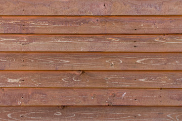 Fototapeta premium Wood texture