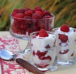 joghurt und himbeeren im glas