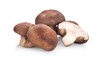 Fresh mushrooms isolated on white.