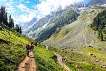 Beautiful greenery landscape at Sonamarg 