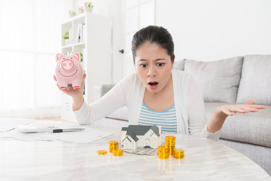 young pretty housewife holding piggy bank