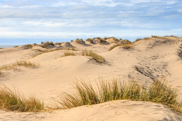Fototapeta na wymiar Formby Sand Dunes