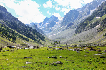 Fototapeta na wymiar Beautiful landscape at Sonamarg, Kashmir, India