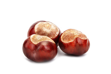 Chestnuts on a white background. An isolated object.